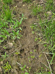 24 Holly Rd, Henryetta, OK 74437